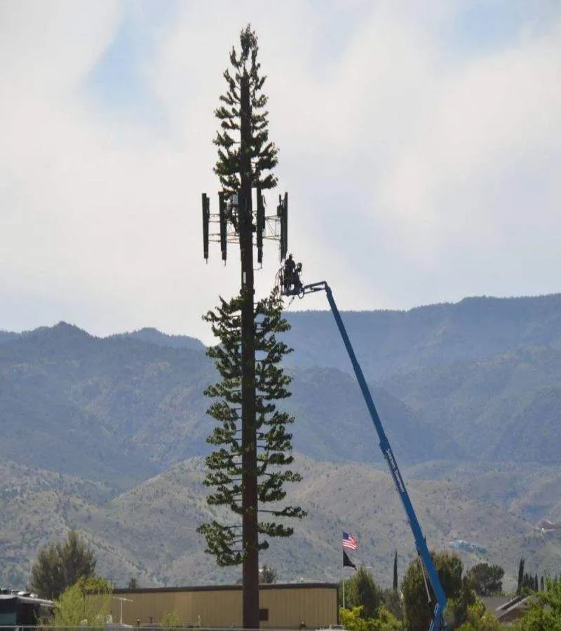 Camouflaged Palm Tree Tower